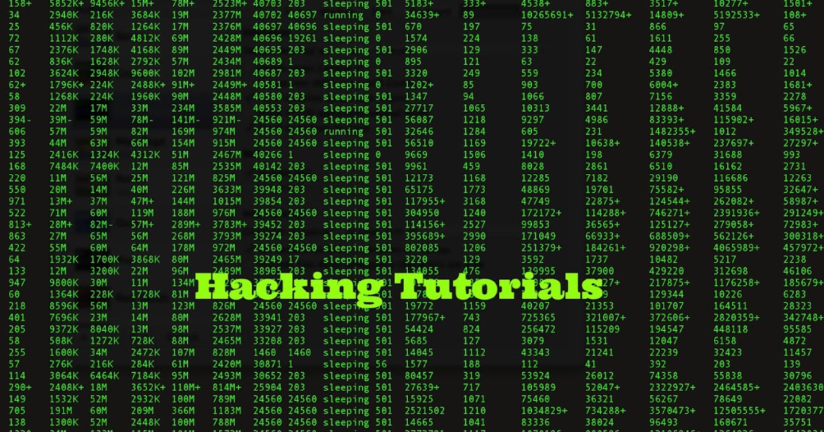 learn to hack for beginners